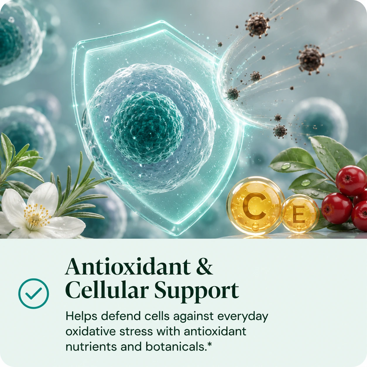 Antioxidant and Cellular Support